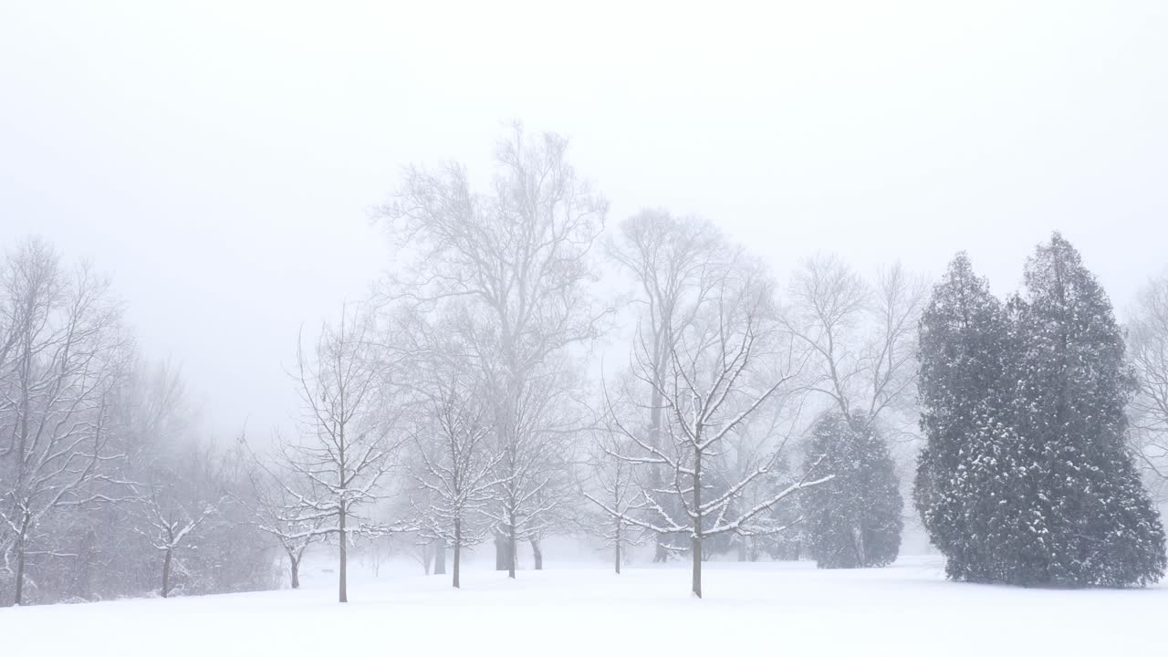 도시 공원, 넬슨 공원, 콜럼버스, 오하이오에서 겨울 날