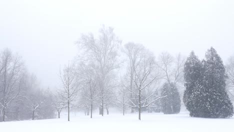 Winter-day-in-a-city-park,-Nelson-Park,-Columbus,-Ohio