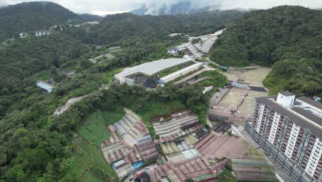 vista general del paisaje del distrito de brinchang dentro del área de cameron highlands de malasia