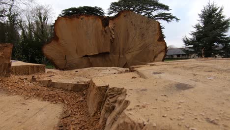 Ground-level,-low-angel-shot-at-a-cutout-log-on-a-farm