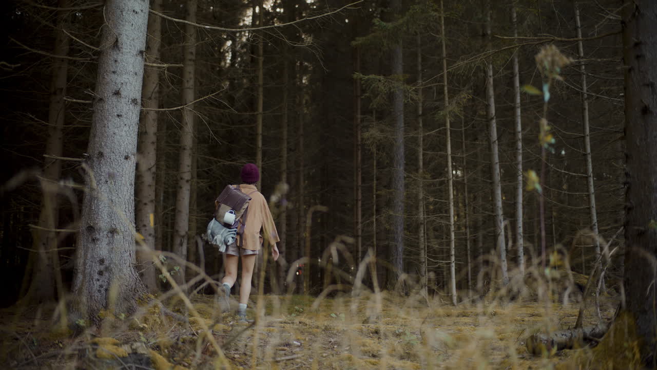 Kvindelig turist med rygsæk går i skoven