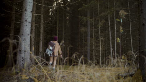 female tourist with backpack walking in forest