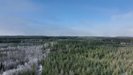 Gefrorene-Wälder-Mitten-Im-Nirgendwo