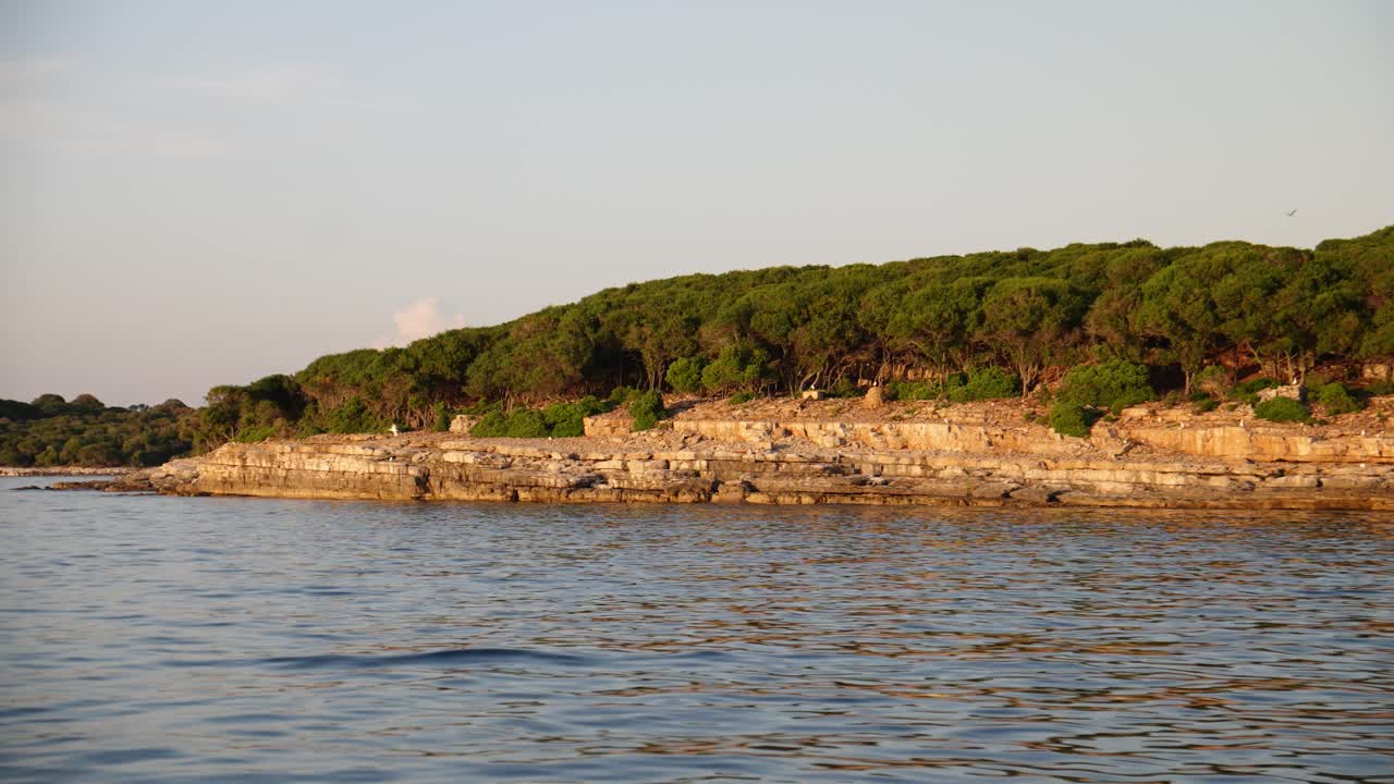 파란 하늘, 바위, 식물의 배경