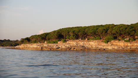 Background-of-blue-sky,-rock-and-vegetation