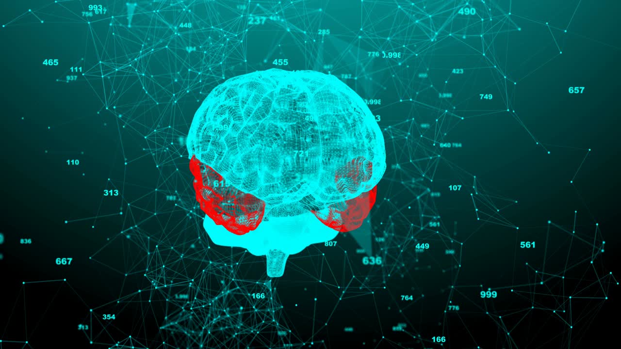 인간의 회전하는 뇌, 크서스 구조, 진화하는 뇌, 원활한 루프