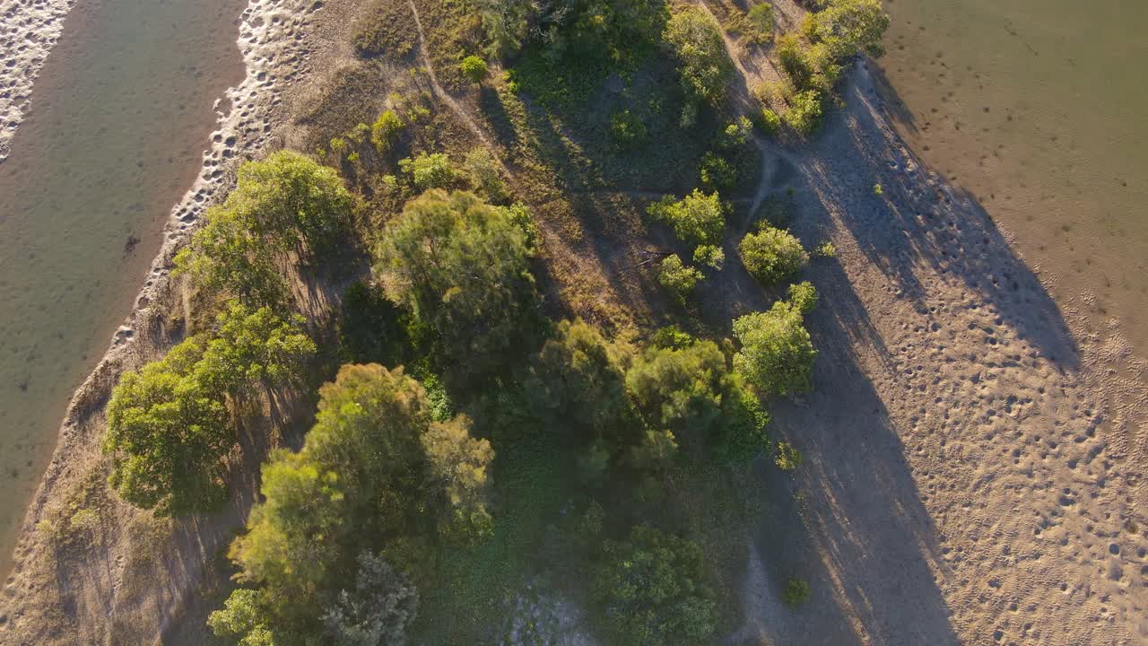 árboles que crecen en el estuario del arroyo moonee en un día soleado - playa moonee en nsw, australia