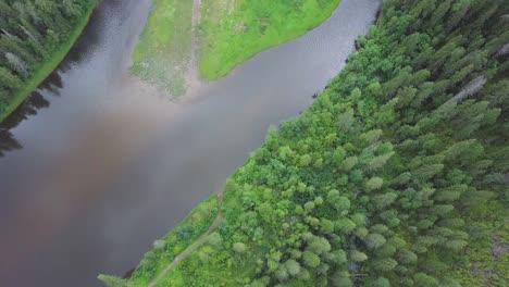 aerial view of river winding through a forest