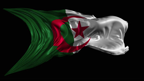 waving algerian flag