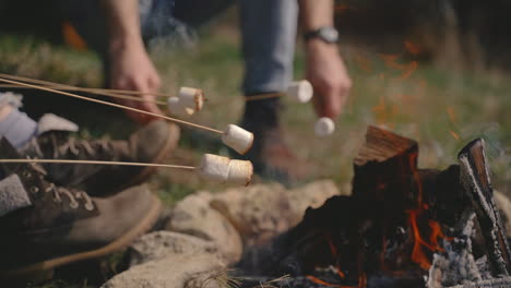 a group of young people warm marshmallows on a bonfire 2