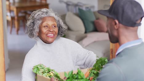 happy senior african american woman receiving groceries from delivery man