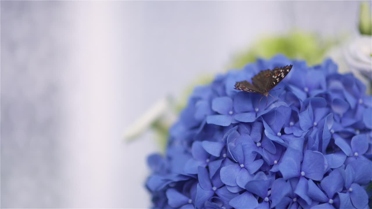 Whimsical Rose Bridal Flower Ideas