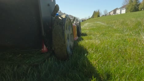 pushing lawn mower in thick spring grass