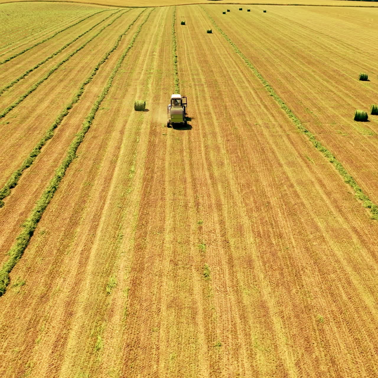 Agricultural machinery pressing green grass in the field. Harvester and tractor in field press grass into bundle in a sunny day. Aerial view.
