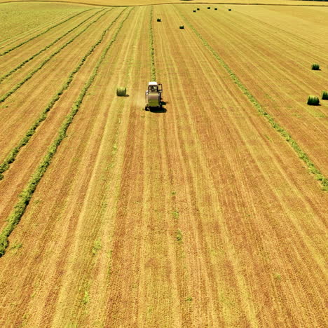 agricultural machinery pressing green grass in the field. harvester and tractor in field press grass into bundle in a sunny day. aerial view.