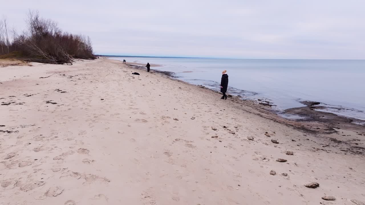 Moody aerial scene of woman walking Baltic shoreline in black winter coat
