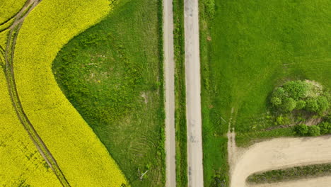 Luftaufnahme-Von-Oben-Auf-Ein-Großes-Gelbes-Rapsfeld-Mit-Einer-Windturbine-Im-Hintergrund