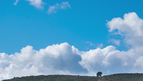 Lapso-De-Tiempo-De-Un-árbol-En-Una-Colina-Con-Hierba-Contra-Un-Cielo-Azul-Con-Nubes