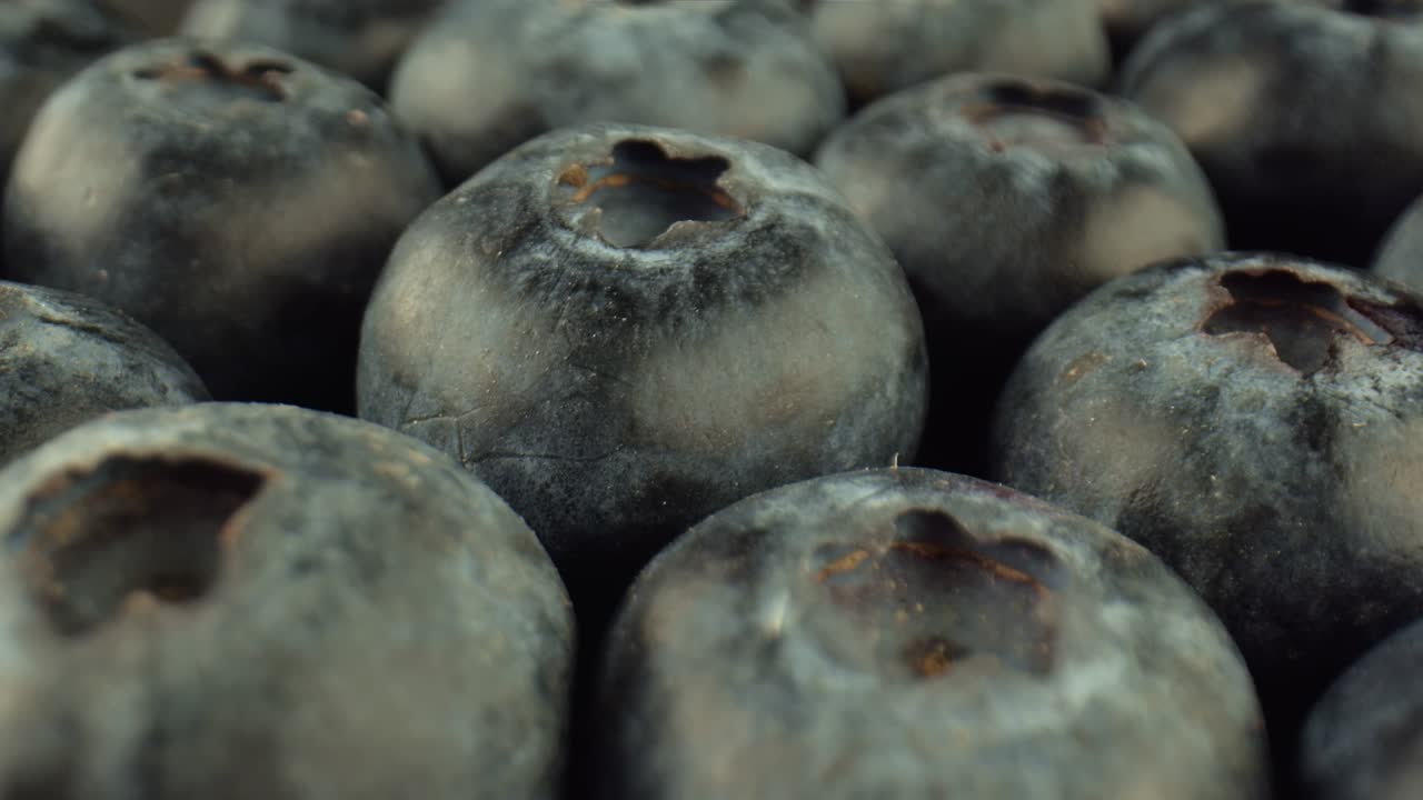 블루베리의 매크로 은 어두운 색, 야생 관목의 둥근 작은 베리, 약품 제조에 대한 성분, 비타민.