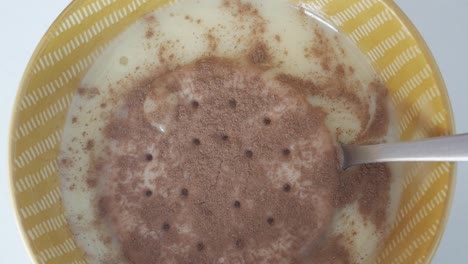 traditional spanish dessert: natillas with galleta maria