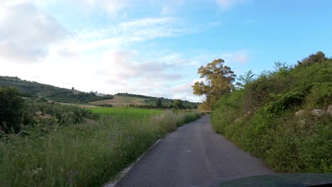 driving down scenic country lanes surrounded by lush rural farming land kefalonia greece at sunset.