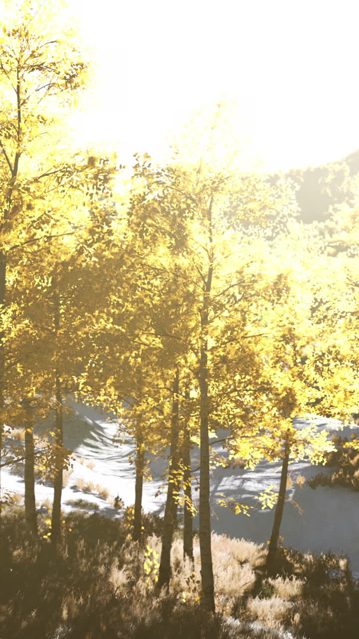 숲 속 의 황금 나무 들