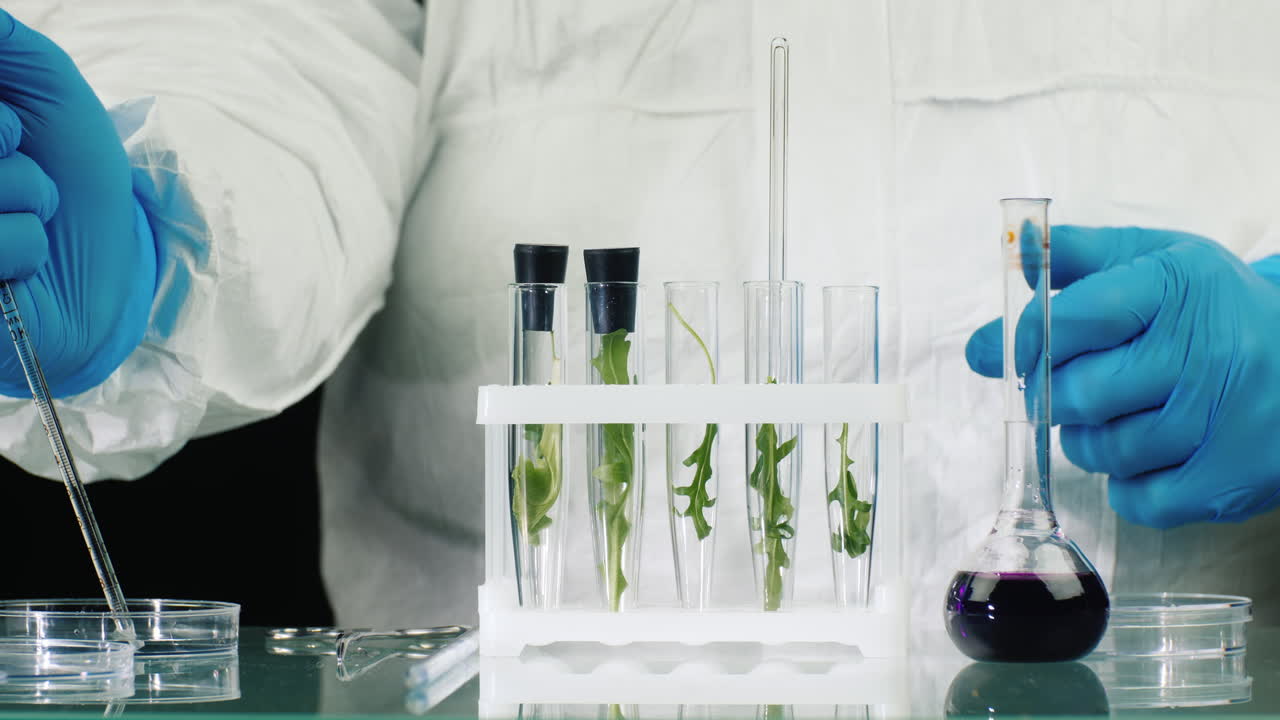 científico trabaja con muestras de plantas en laboratorio