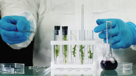 Scientist-works-with-plant-samples-in-lab