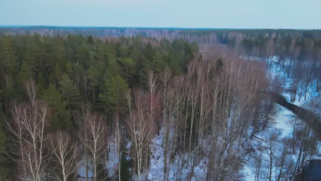 Levantamiento-Aéreo-Sobre-Bosque-Nevado-En-Letonia