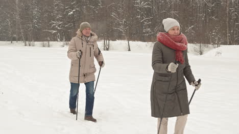 couple nordic walking in winter wonderland