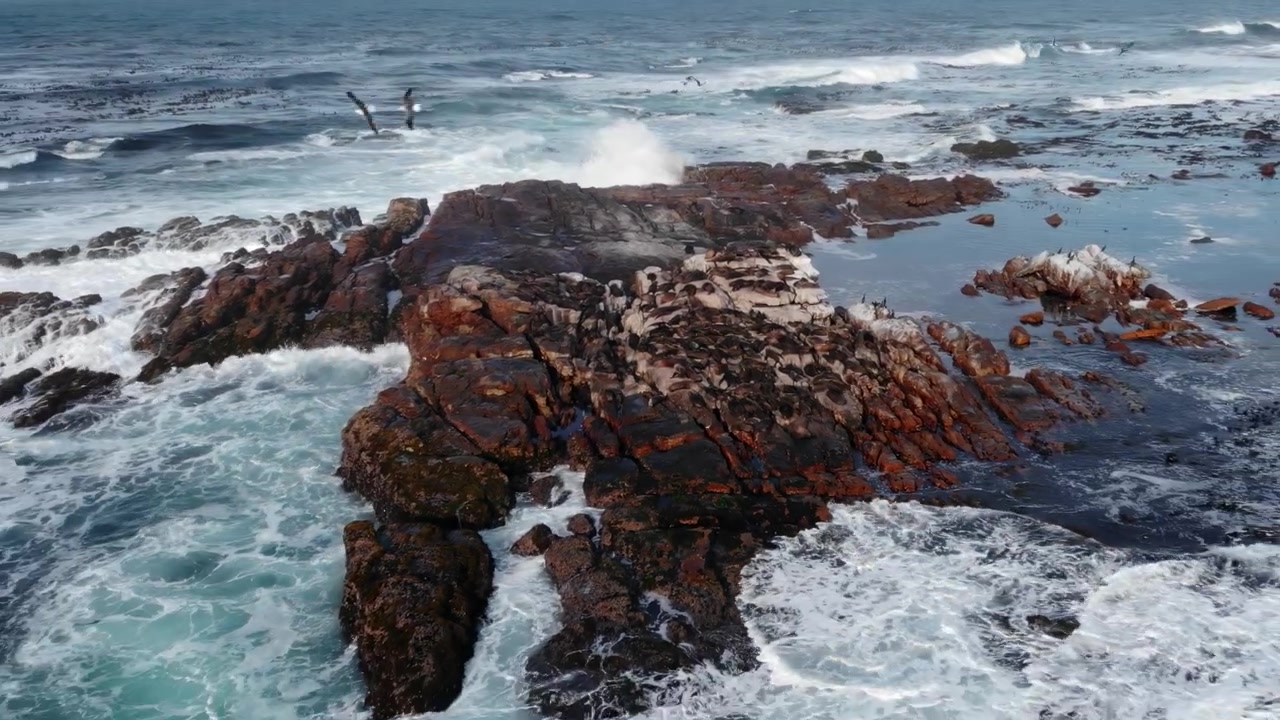 Ampia veduta dall'alto di rocce scure circondate da acqua blu turbolenta, schiuma bianca e onde che si infrangono sotto la luce naturale del giorno.