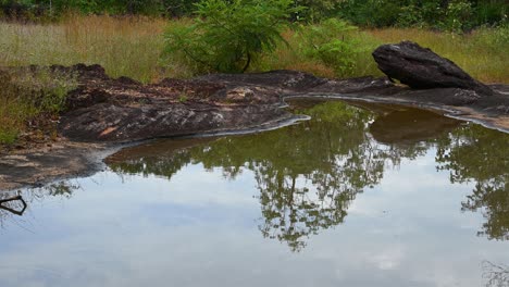 Wasser-Reflektierende-Bäume-Und-Ein-Bewölkter-Blauer-Himmel