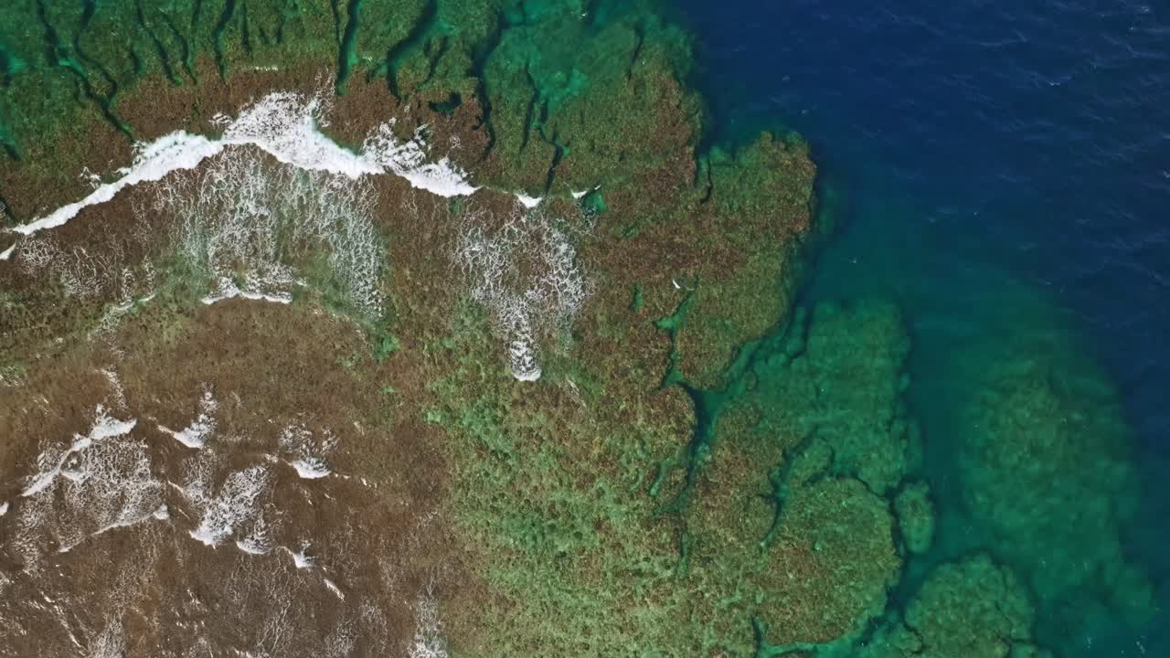 Rising shot of coral reef in Okinawa, Japan