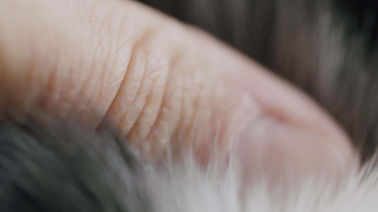 두 손가락으로 머리에 도지를 만지는 매크로