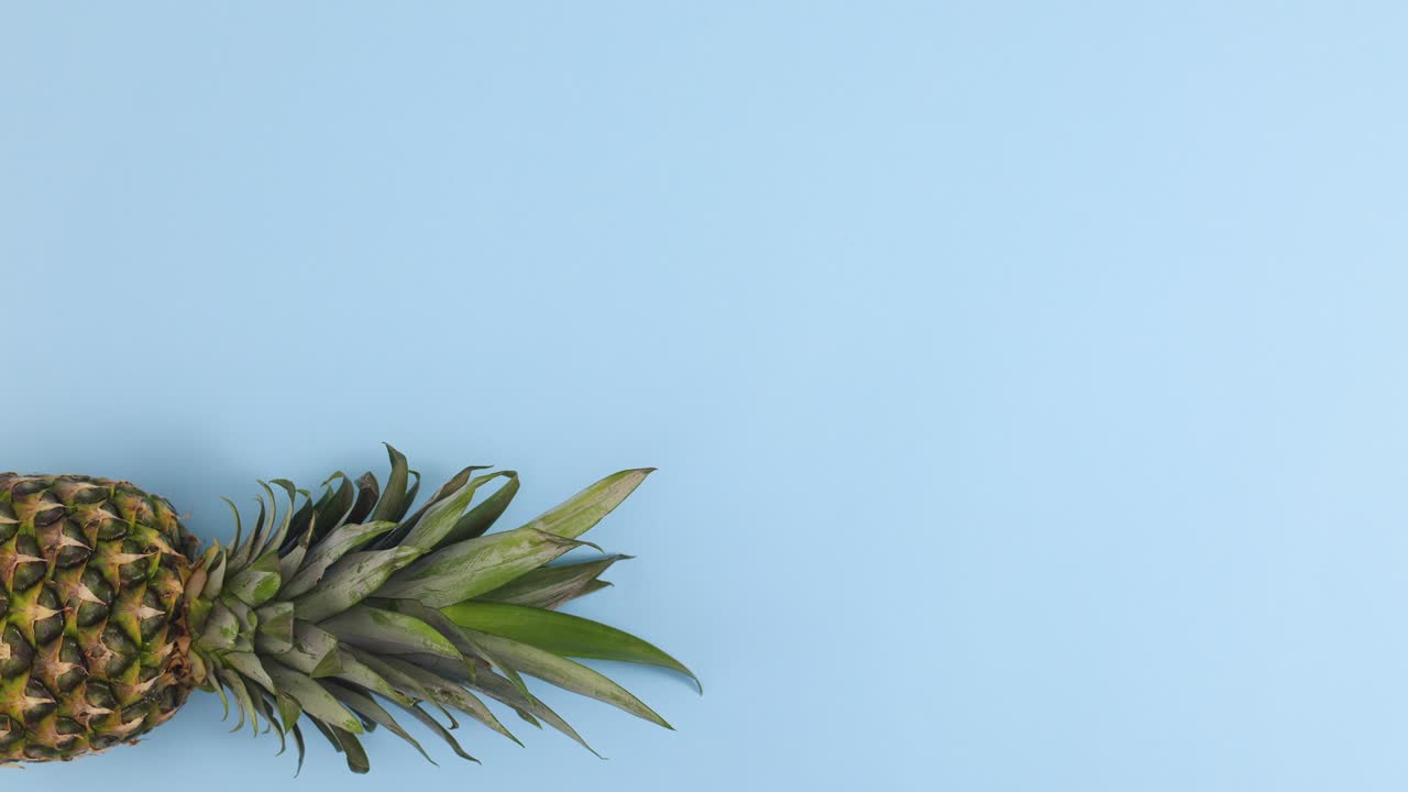 Pineapple moving on corners of pastel blue theme. Stop motion