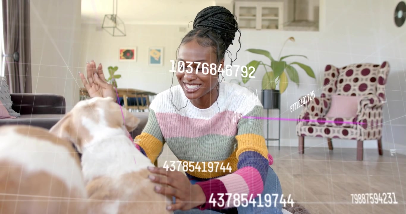 Upon dogs entering, owner scratching and rewarding dogs as numeric overlays showing pet care data