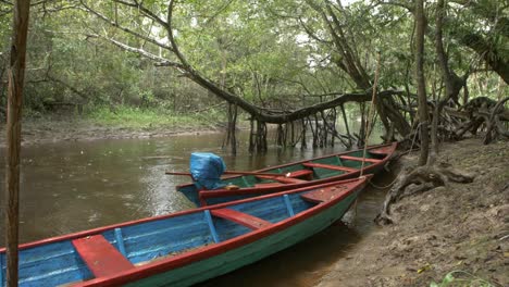 a boat on a raining day int the jungle