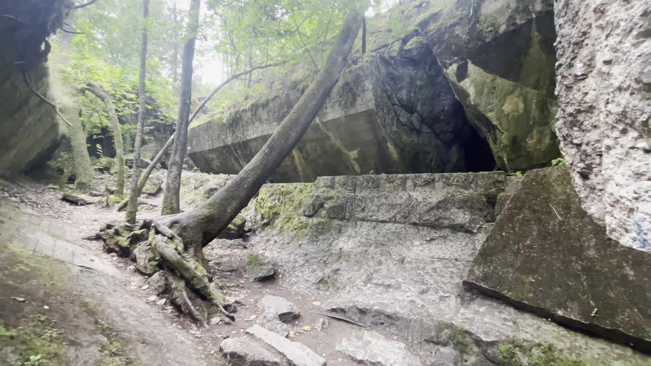 Trees grow in between the destroyed remains of Wolf's Lair