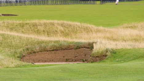 a golfer walking across the field