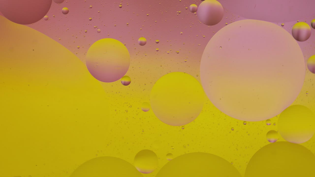 Macro structure of colorful oil bubbles. Chaotic motion. Abstract multicolored background. Pattern