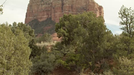 red rock mountains, buttes and trees in sedona, arizona with video slowly tilting up