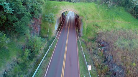 passagem superior de vida selvagem em san antonio, misiones, argentina