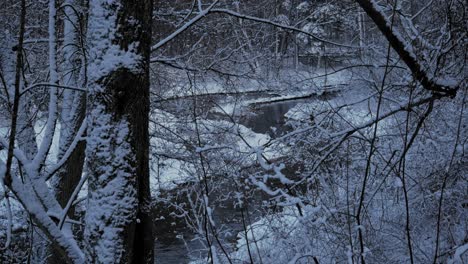 Bereifte-Bäume-In-Der-Nähe-Des-Flussufers-In-Lidzbark-Warmiński,-Polen,-Im-Winter