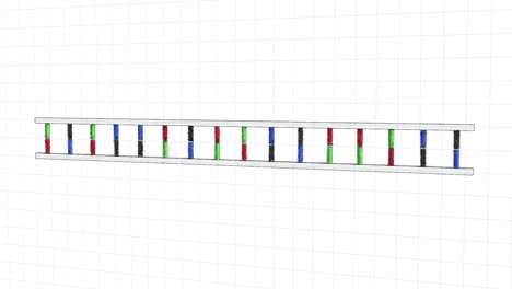 Animation-Der-DNA-Bewegung-