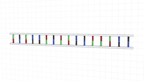 animación del adn en movimiento