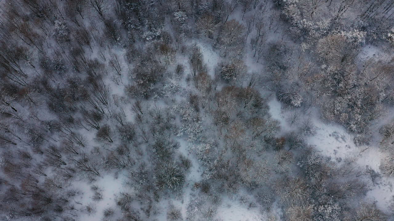 Winter in Krakow, Poland - Aerial view of Kosciuszko Mound