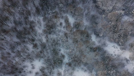 winter in krakow, poland - aerial view of kosciuszko mound