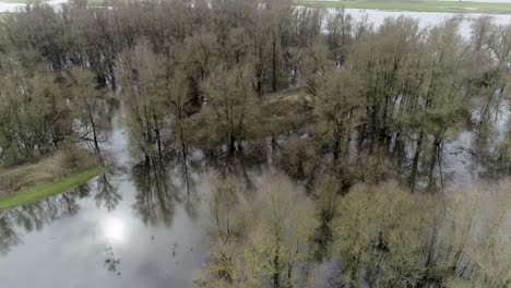 aerial drone shot of swamp like natural environment