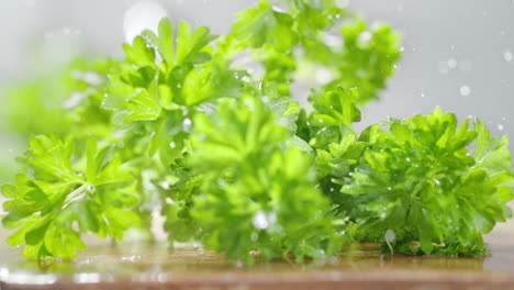 cutting parsley leaves with a sharp knife on a wooden water covered cutting board, macro and slow motion