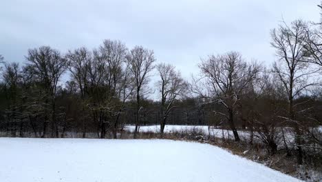 snowy fields with bare trees during winter